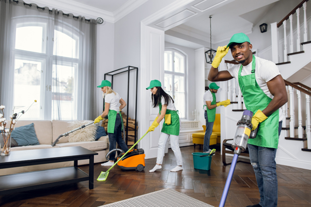 professional home cleaning service