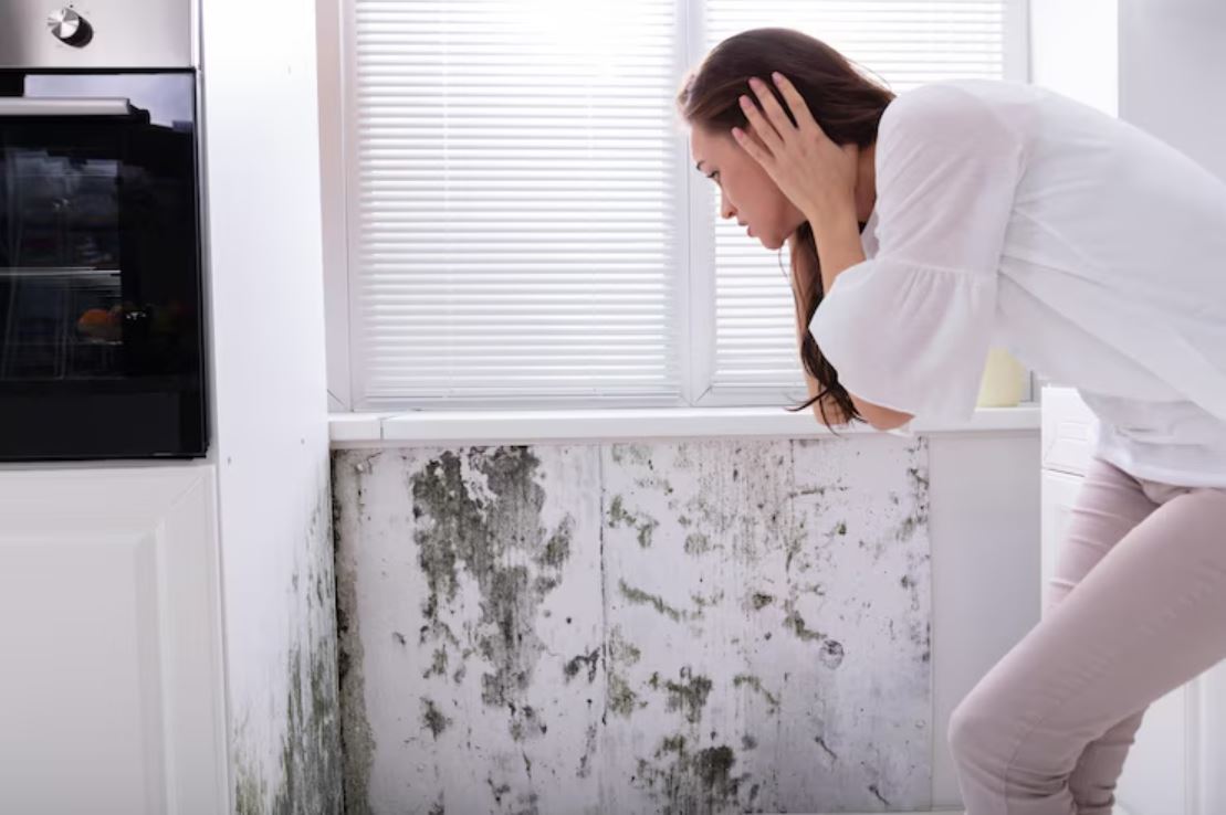 Water Dampness in Walls: Causes & Solutions Oh Yes World Home Cleaning